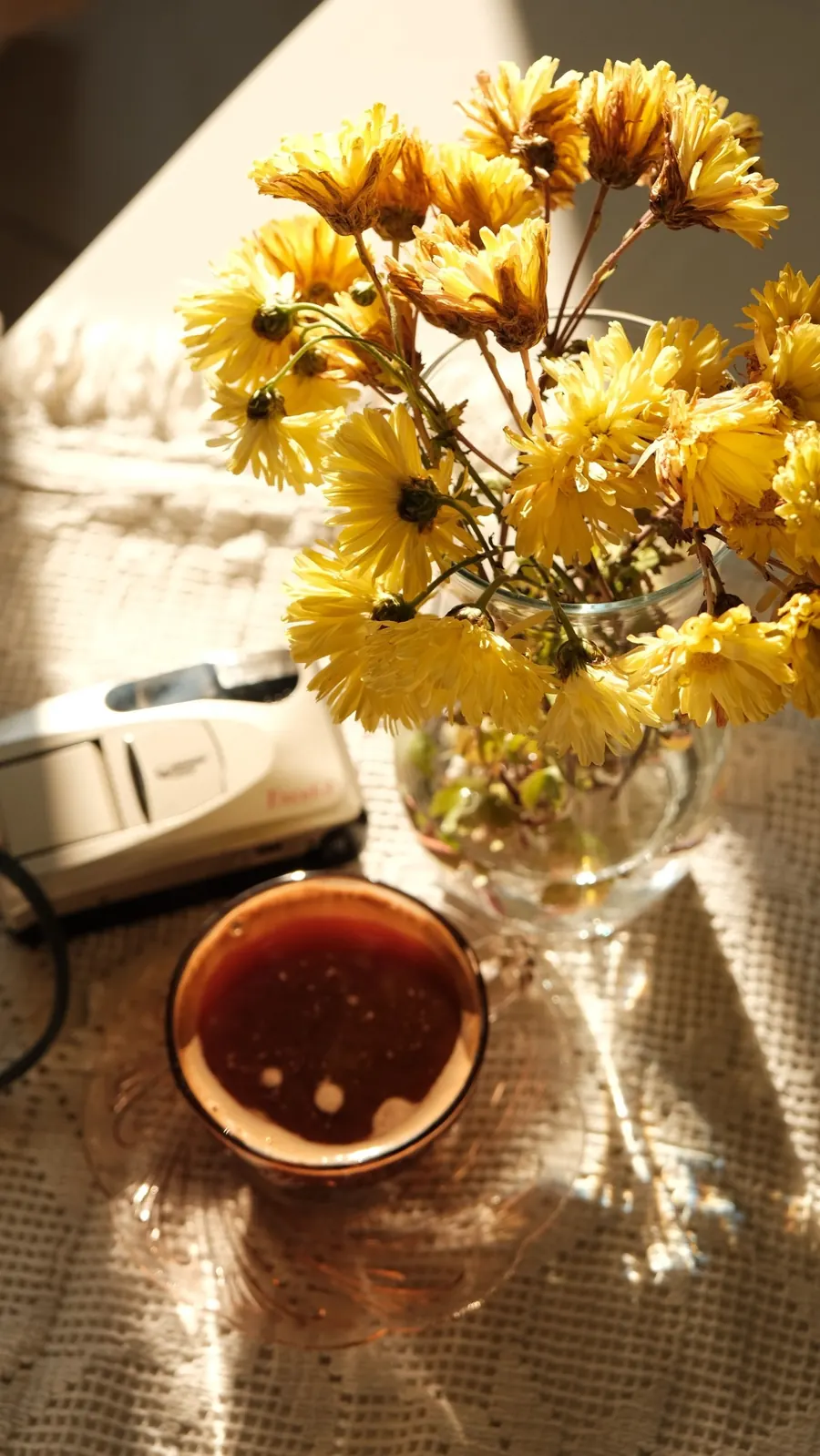 Yellow chrysanthemums in a glass vase beside a cup of tea, in morning sun